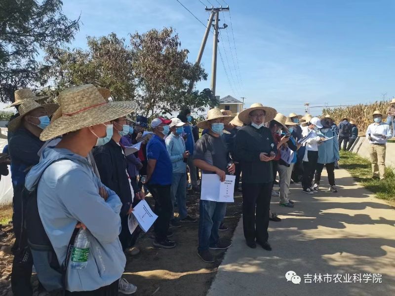 市农科院科研人员参加海南“生物育种品种观摩与技术交流”研讨会